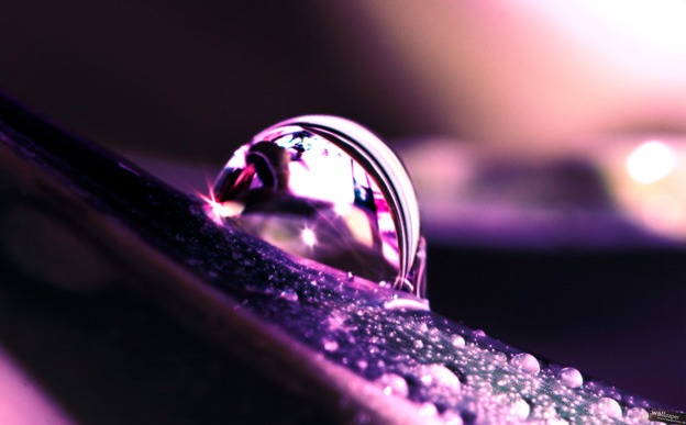 macro_wallpapers_creativeswall_2