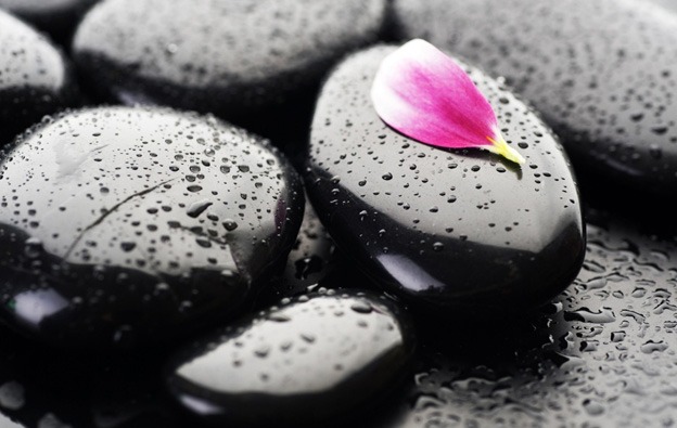 macro_wallpapers_creativeswall_9