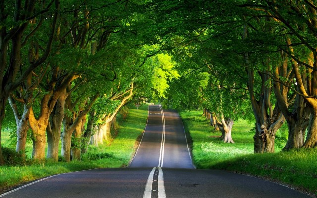 1504873 e1398528725123 - Free High Quality Nature Wallpapers