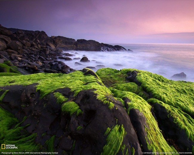 Bestwallpapers2009fromNationalGeographic 05 e1397146392594 - Free High Quality Nature Wallpapers