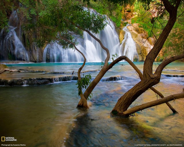 Bestwallpapers2009fromNationalGeographic 18 e1398528694382 - Free High Quality Nature Wallpapers