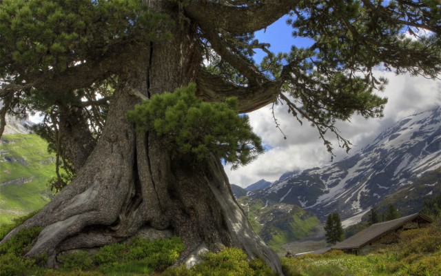Cool Nature Wallpapers e1398528808592 - Free High Quality Nature Wallpapers