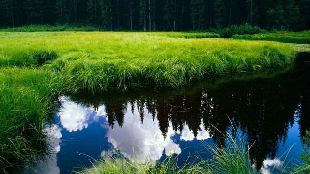HD beautiful nature landsacpe e1398528985854 - Free High Quality Nature Wallpapers