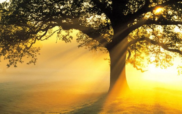 b5a776e7de8ecb7f328a105e1aa0e2d5 e1398528864506 - Free High Quality Nature Wallpapers