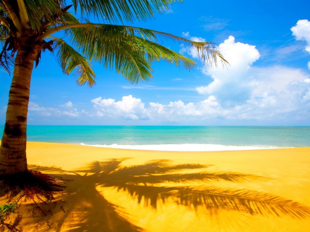 beach wallpaper 03 e1398529150352 - Free High Quality Nature Wallpapers