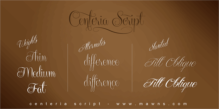 e4e65a1bfa8b49b5aafb2218f1d13d0e - Free Calligraphy Fonts
