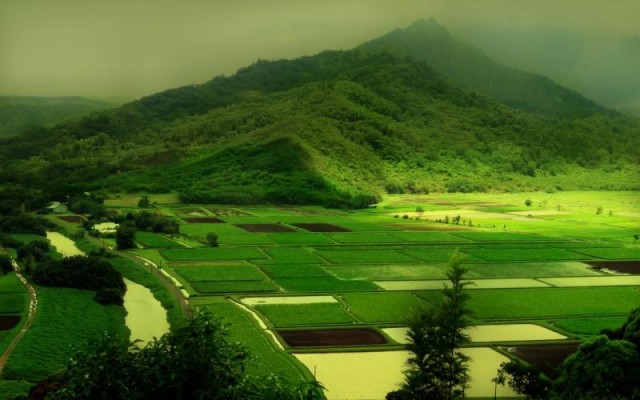 free nature wallpaper 1171 e1398529085297 - Free High Quality Nature Wallpapers