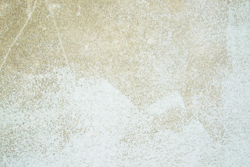 texture2 1024x682 - Free High Quality Grunge Wall Textures