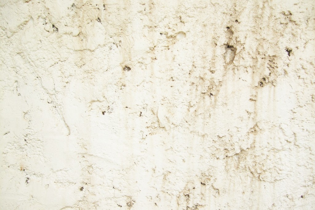 texture4 1024x682 - Free High Quality Grunge Wall Textures