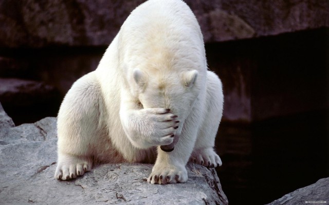 xXF6kUD e1398875165942 - Funny Animal Acting Like Humans