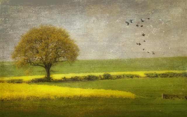 Paintings Nature3 e1399223965563 - 20 Beautiful Nature Painting Wallpapers