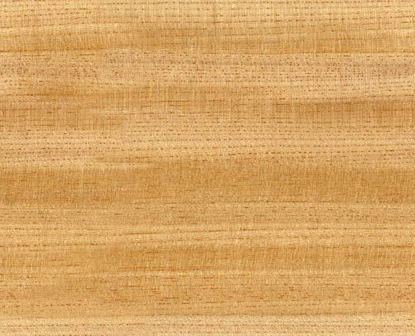 WoodFine0012 preview - 30 Free Fine Wood Textures