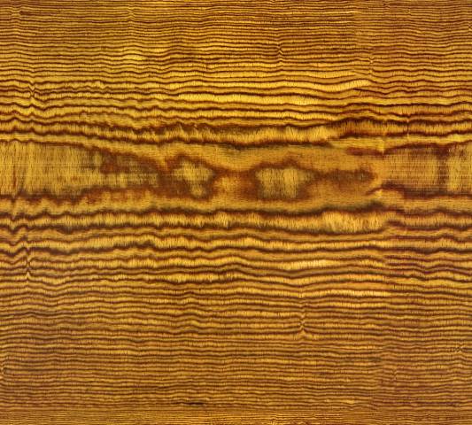 WoodFine0013 1 preview - 30 Free Fine Wood Textures