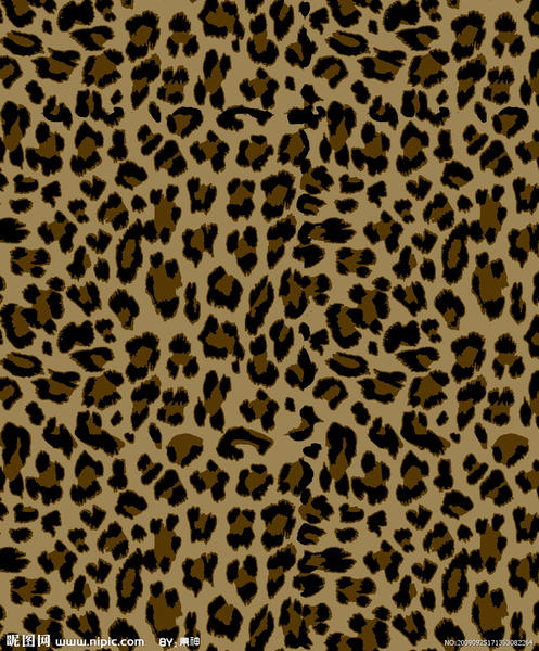 Leopard Pattern
