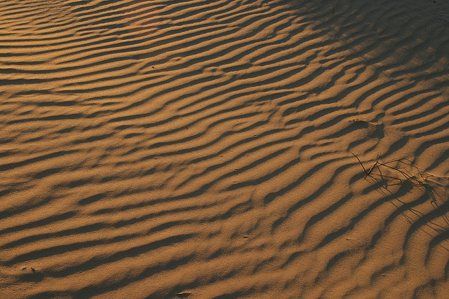 desert sand dexture desert sand dexture